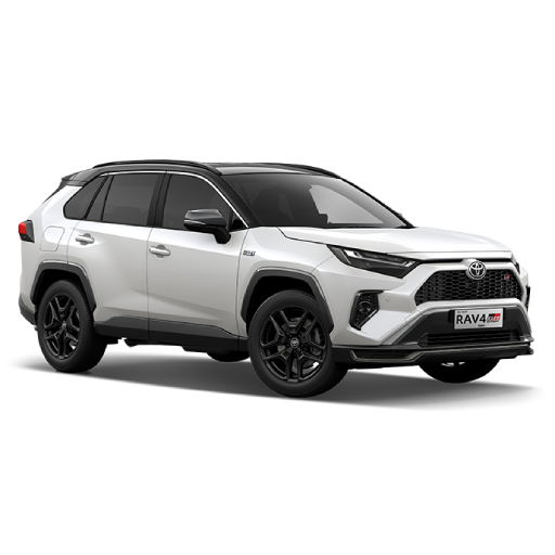 rav4-dt white black